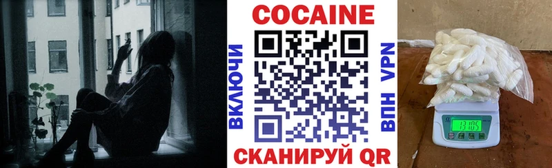 Кокаин FishScale закладка Кизилюрт