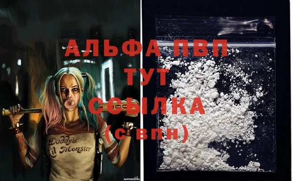 прущие крисы Заводоуковск