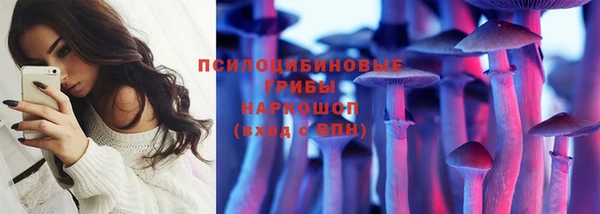 прущие крисы Заводоуковск