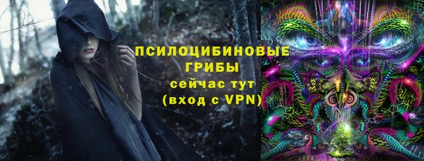 прущие крисы Заводоуковск