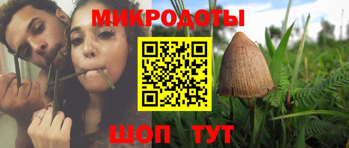 Псилоцибиновые грибы ЛСД  Вход с VPN  Псилоцибиновые грибы мухоморы  Кизилюрт 